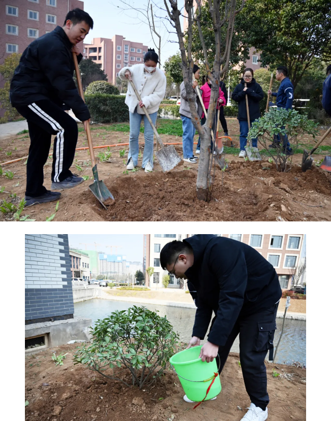 1719191961741096.png image.png